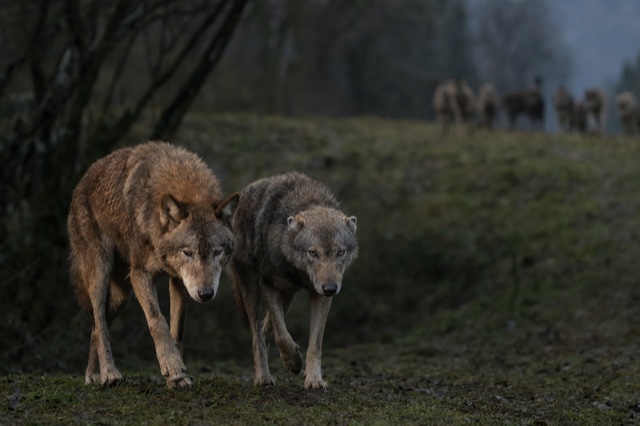 Sara e Jonda camminano ai margini del territorio