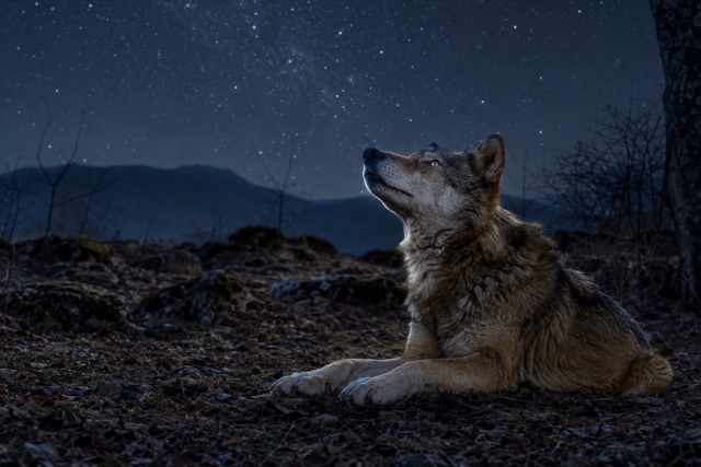 Sara veglia sotto il cielo stellato